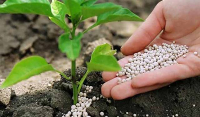 Gübre nedir? Gübreleme nedir? Gübrelemenin yararları nedir? Gübre kar getirir mi?