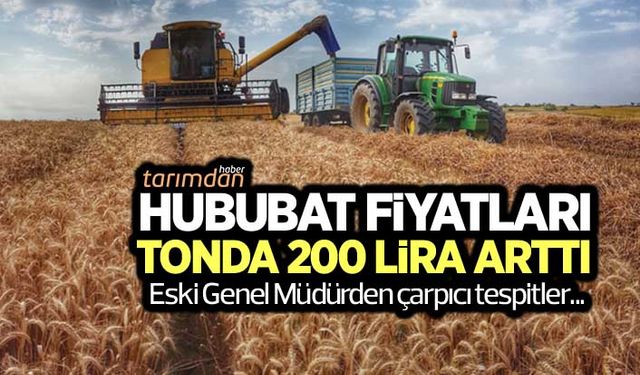 Hububat fiyatları tonda 200 lira arttı! Eski genel müdürden çarpıcı tespitler...