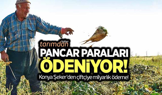 Konya Şeker çiftçiye 1 milyar lira pancar parası ödeyecek!