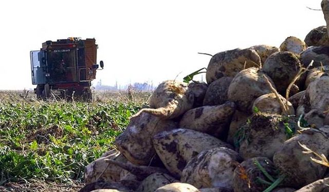 Mazot ve gübre fiyatı çiftçiyi korkutuyor! Pancarda 100 lira fiyat artışına tepki!