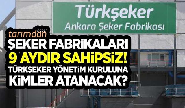 Şeker fabrikaları 9 aydır sahipsiz! Türkşeker Yönetim Kurulu'na kimler atanacak?