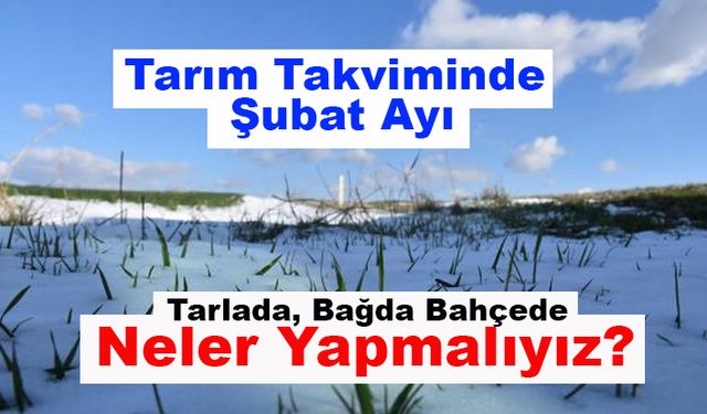 Tarım takvimine göre Şubat ayında ne yapmalıyız?