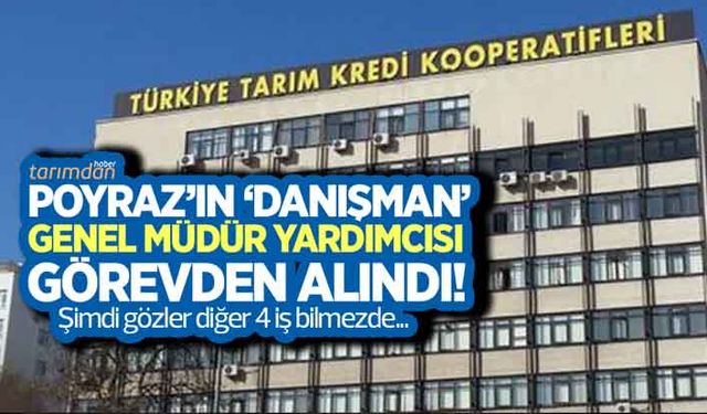 Tarım Kredi'de yaprak dökümü devam ediyor! Poyraz’ın ‘danışman’ Genel Müdür Yardımcısı görevden alındı!
