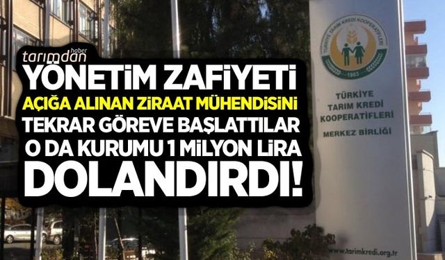 Tarım Kredide yönetim zafiyeti! Açığa alınan ziraat mühendisini tekrar işe başlattılar o da kurumu dolandırdı