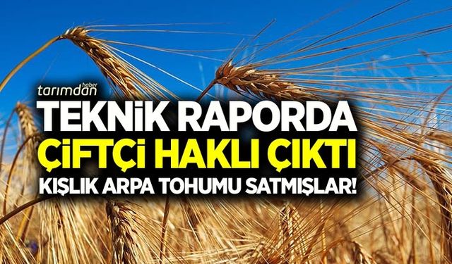 Teknik raporda çiftçi haklı çıktı yazlık yerine kışlık arpa tohumu satmışlar!