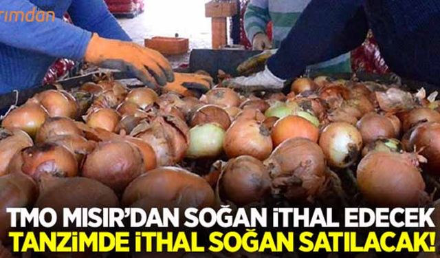 TMO Mısır’dan 13 bin ton soğan ithal edecek!