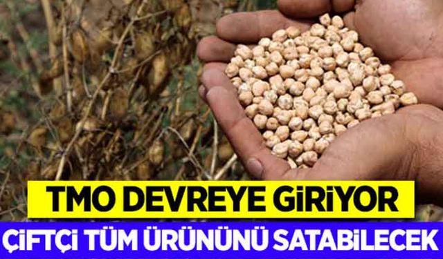 TMO nohut için devreye girdi!