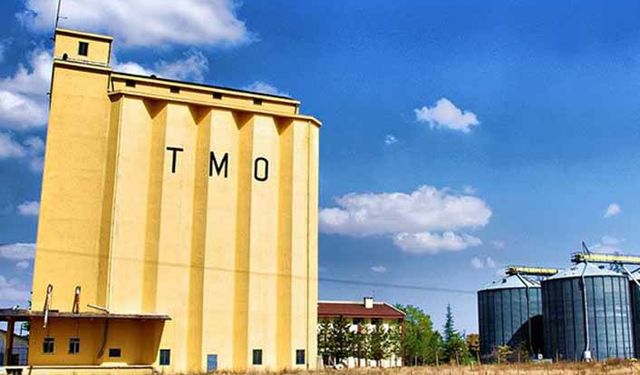 TMO’dan buğday hamlesi