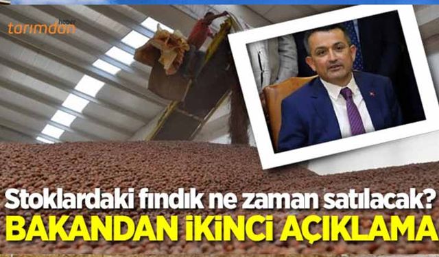 TMO’nun stoklarındaki fındıklar ne zaman satılacak?