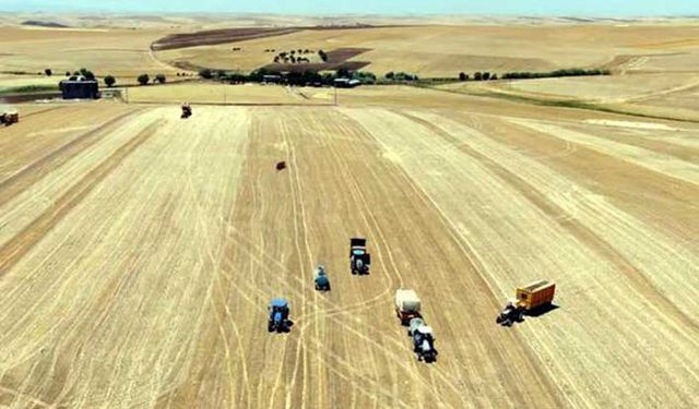 Ziraat Bankası'ndan çiftçinin takipteki borçlarıyla ilgili önemli açıklama! Takipteki borçlar nasıl yapılandırılacak?