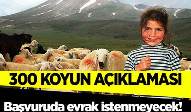300 koyunda başvurular evraksız yapılacak!