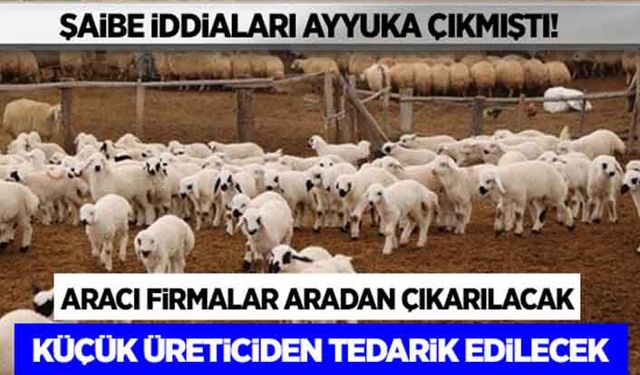 500 bin koyunda aracı firmalar aradan çıkarılacak!