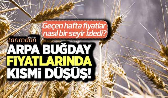 Arpa buğday fiyatlarında kısmi düşüş! Peki fiyatlar neden düştü? İşte 21 Mart hububat fiyatları