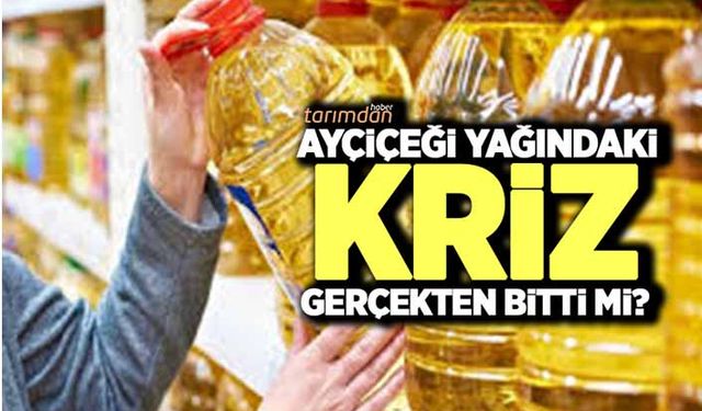 Ayçiçeği yağında kriz gerçekten bitti mi?