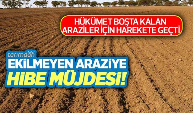 Boş bırakılan tarım arazilerini değerlendirene yüzde 75 hibe desteği verilecek! 