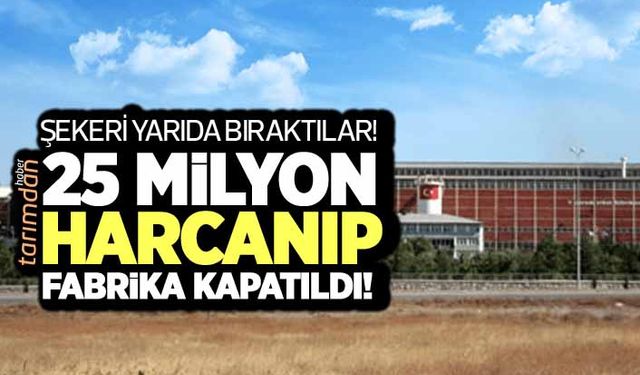 Çarşamba Şeker Fabrikası'nda şeker üretimi yılan hikayesine döndü!