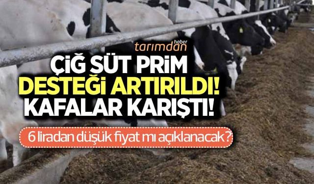 Çiğ süt destekleri artırıldı! Tarihinde ilk kez 1 lira oldu!