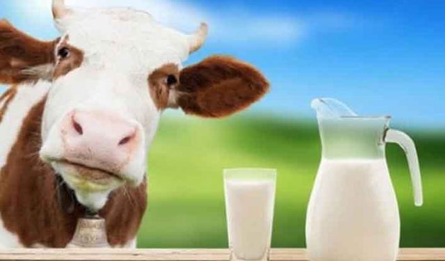Çiğ süt yok satıyor