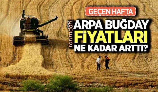 Geçen hafta arpa buğday fiyatları ne kadar arttı? İşte 14 Mart hububat fiyatları!