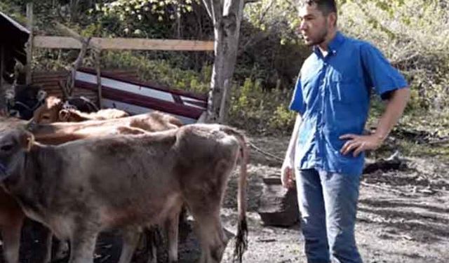 Genç çiftçinin isyanı!