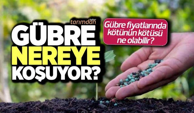 Gübre nereye koşuyor?