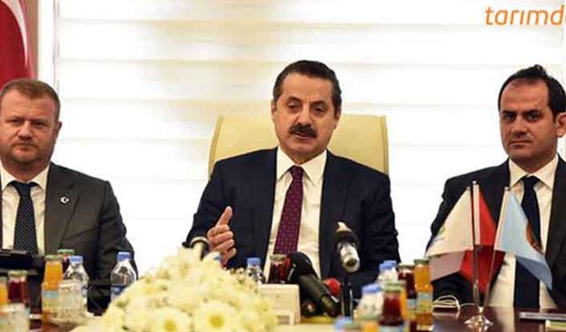 Hayvancılıkta önemli bir adım: TİGEM embriyo transferine başlıyor