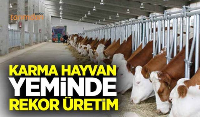 Karma hayvan yeminde rekor üretim!