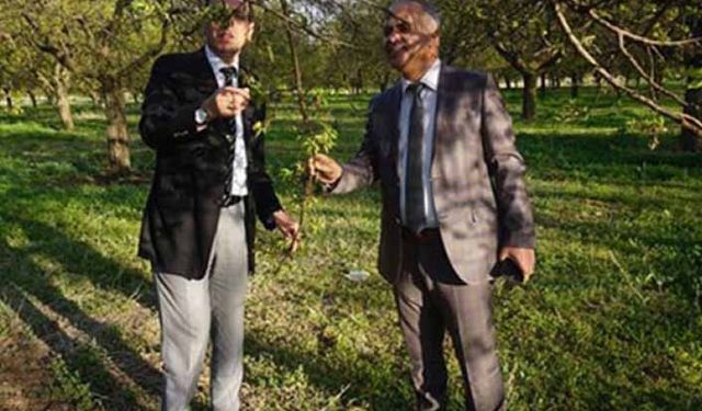 Malatya'da kayısı bahçeleri dondan zarar gördü