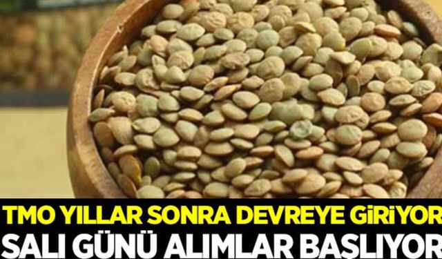 Mercimek yıllar sonra TMO’nun alım bandına girdi!