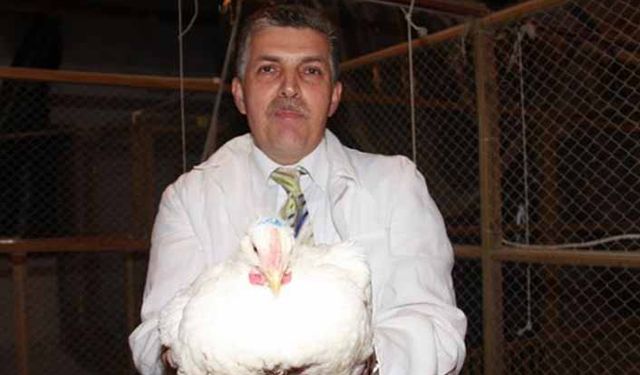 Organik tavuk diye bir şey yok…