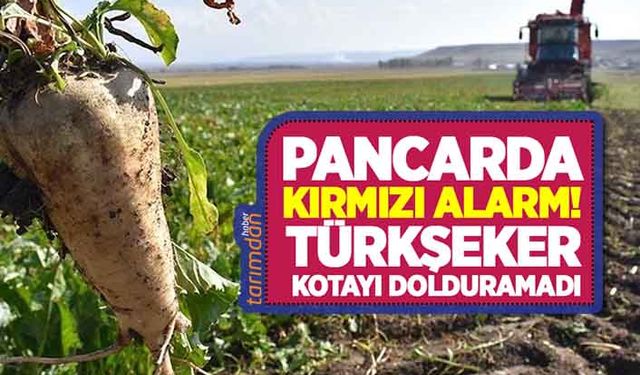 Pancarda kırmızı alarm! Türkşeker kotası kadar çiftçiden taahhüt alamadı!