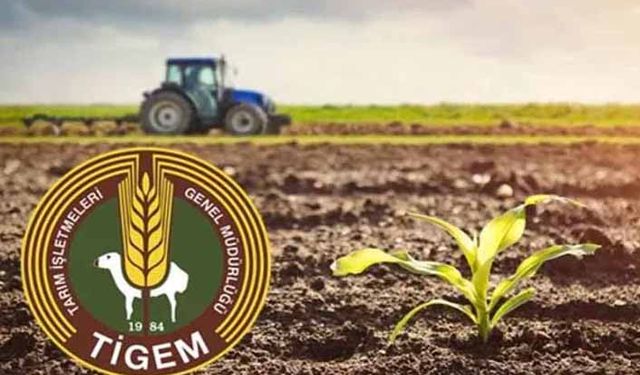 Son dakika, güncel ve geçmişten bugüne TİGEM haberleri