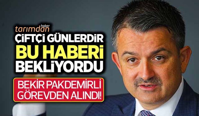 Tarım Bakanı Bekir Pakdemirli görevden alındı!