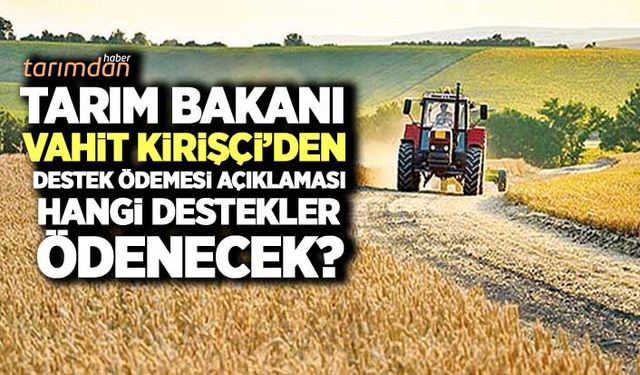 Tarım Bakanından 291 milyon liralık destek ödemesi açıklaması