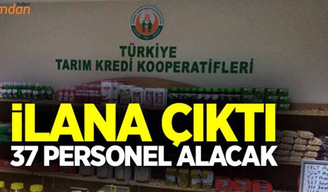 Tarım Kredi 37 personel alacak!