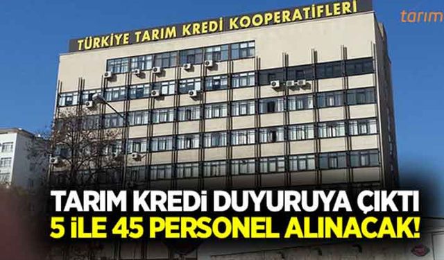 Tarım Kredi 45 personel alacak