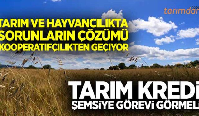 Tarım Kredi şemsiye görevi görmeli