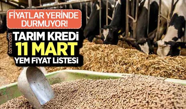 Tarım Kredi yem fiyatlarına geçen hafta 2 kere zam geldi! Yem fiyatları kaç lira oldu? İşte 11 Mart yem fiyat listesi...
