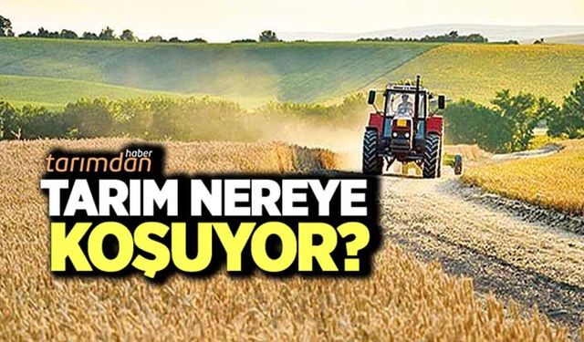 Tarım nereye koşuyor?