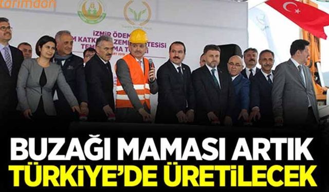 Türkiye buzağı mamasında ithalattan kurtulacak