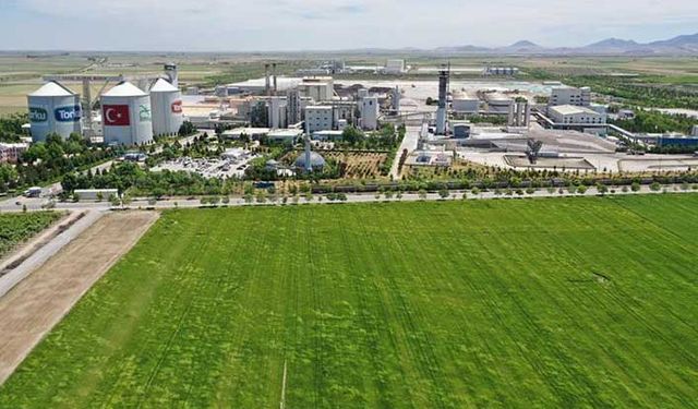 Türkşeker'den sonra Konya Şeker de pancar taban fiyatında artışa gitti