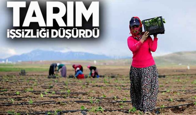 TZOB: Tarım işsizliği düşürdü