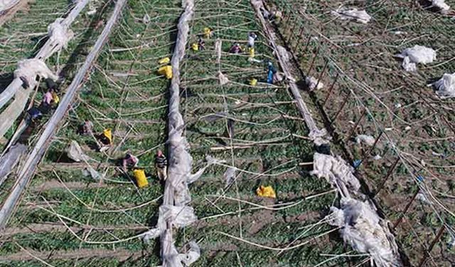 TZOB’tan: Küresel iklim açıklaması