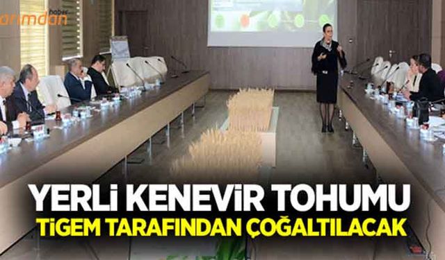 Yerli kenevir tohumu TİGEM tarafından çoğaltılacak