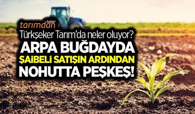 Arpa buğdayda şaibeli satışın ardından nohut peşkeşi! Türkşeker Tarım'da neler oluyor?