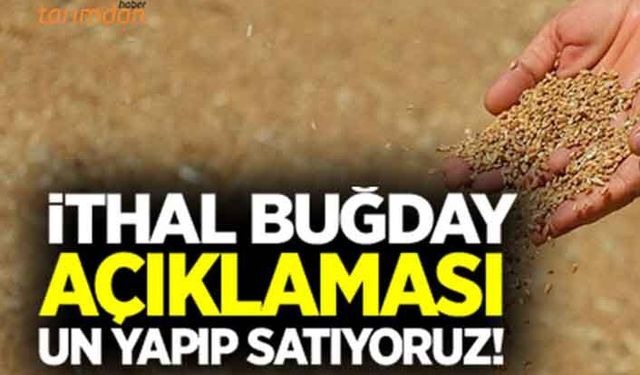 Bakanlıktan ithal buğday açıklaması