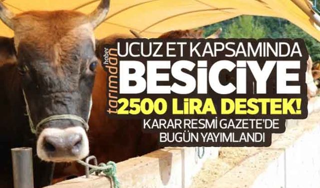 Besiciye hayvan başına 2500 lira destek!