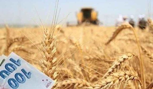 Bolu'da çiftçiye 5 üründe 10 milyon lira ek girdi desteği ödemeleri başladı!