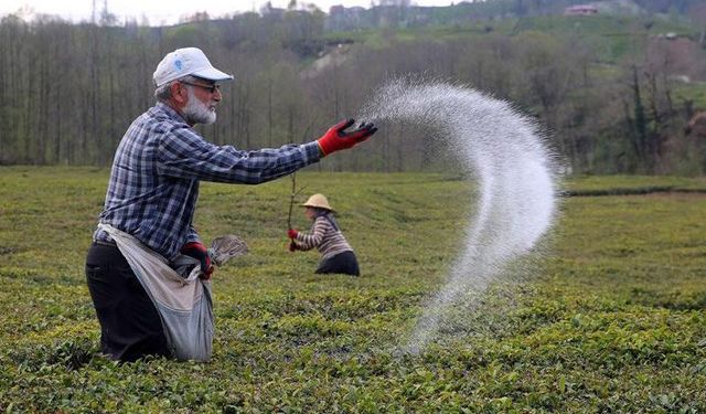 Çiftçilere 472 ton tohum dağıtılacak