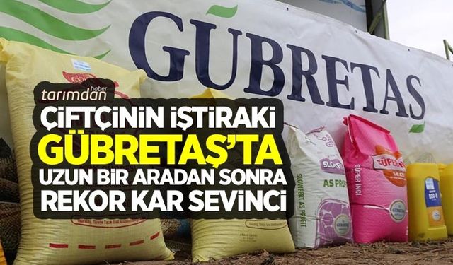 Çiftçinin iştiraki GÜBRETAŞ'ta uzun bir aradan sonra kar sevinci!